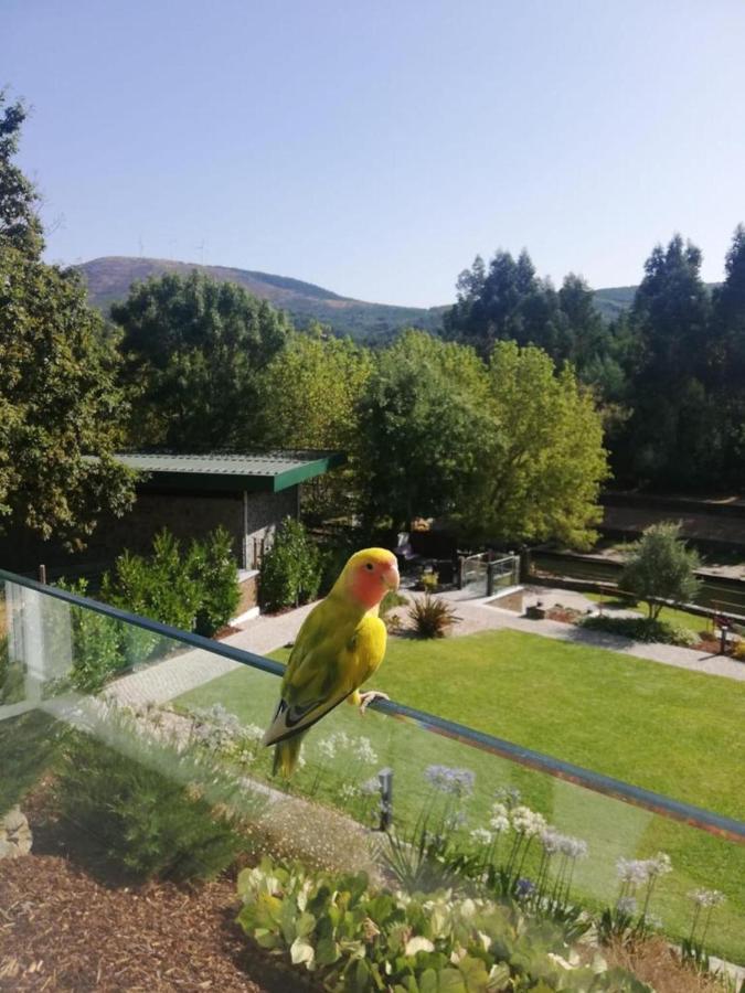 Turismo Natureza Villa Rio Castanheira de Pera Exteriér fotografie